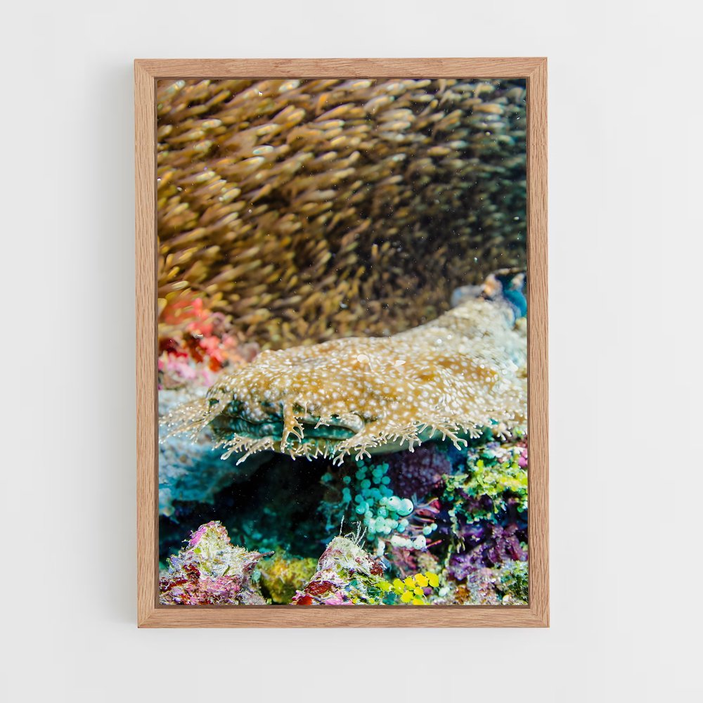 Poster Coral triangle – affiche Plongée sous-marine (vue 4)